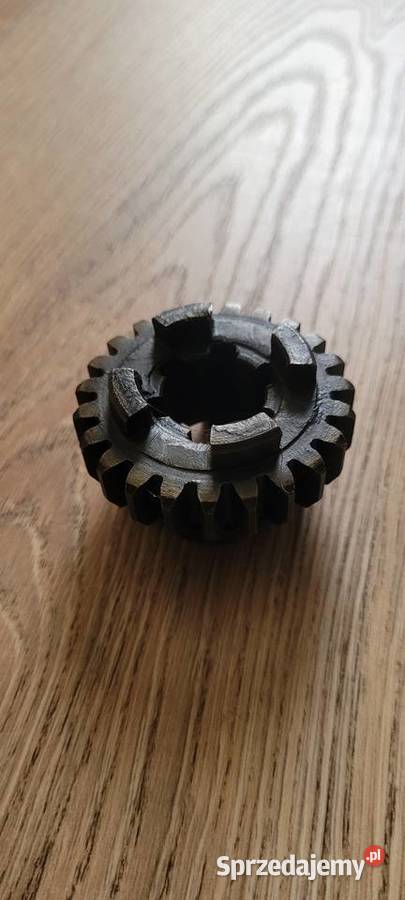 Wsk 175 nowe kujawsko-pomorskie Rypin