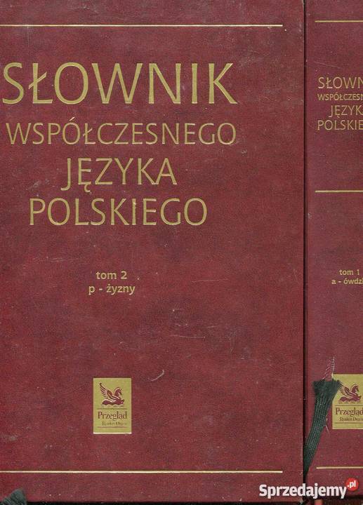 Słownik współczesnego języka polskiego T12 Szczecin
