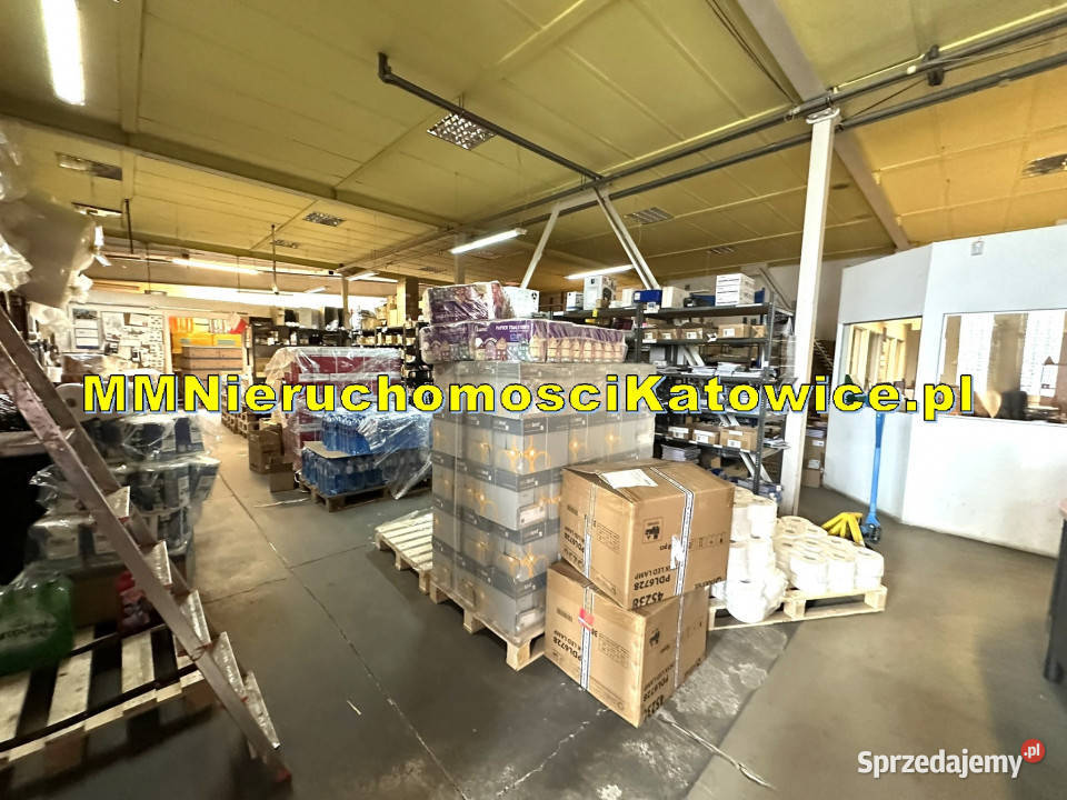 Magazyn do wynajęcia Katowice Silesia City klimatyzacja Wynajem