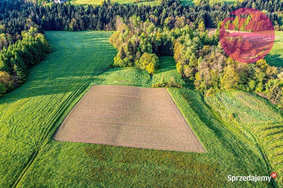 Działka rolna z możliwością małopolskie Librantowa