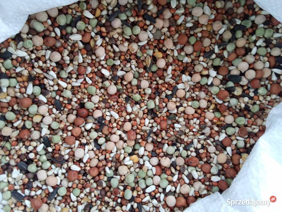 Karma BK bez kukurydzy i pszenicy wysyłka Janów Lubelski