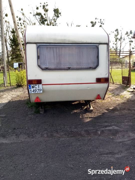 Wilk ci sport 320 Pałuki