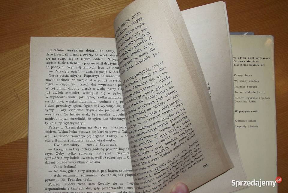 x L Pokład Joanny Morcinek mazowieckie Warszawa sprzedam