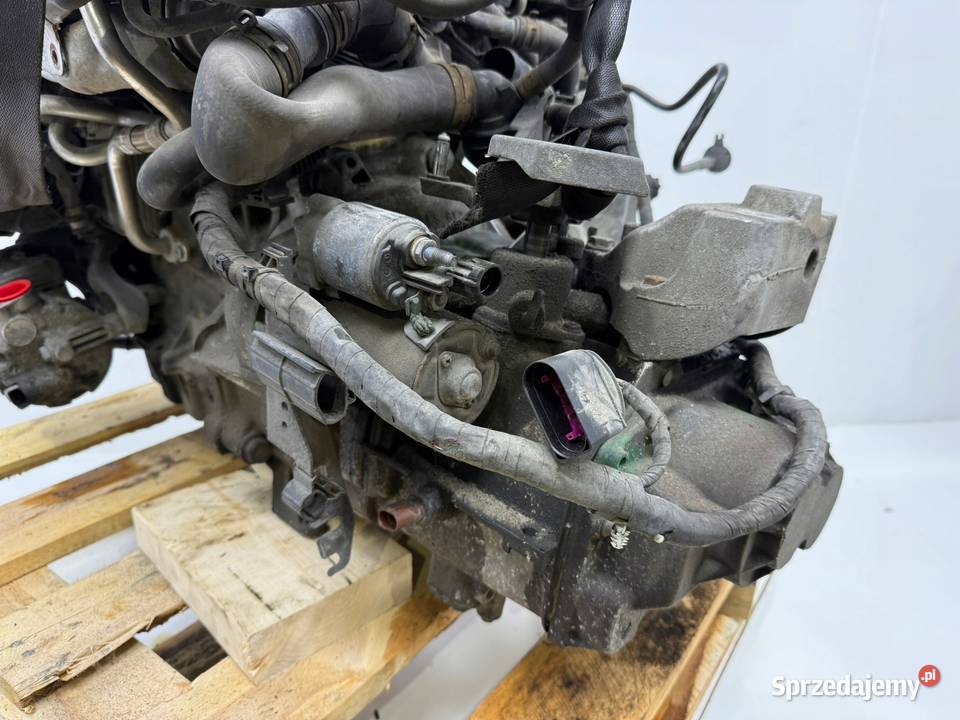 SILNIK Skoda Octavia II Rapid Yeti Audi A1 14 osobowe Chełm