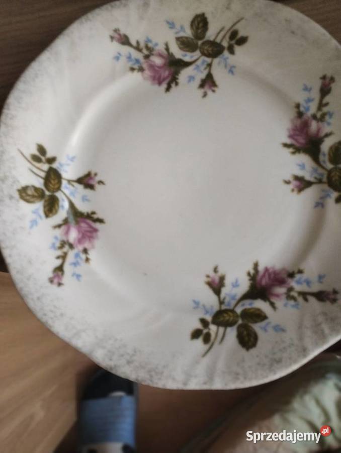 Serwis obiadowy na 12 osób z Chodzieży do tego Różyca