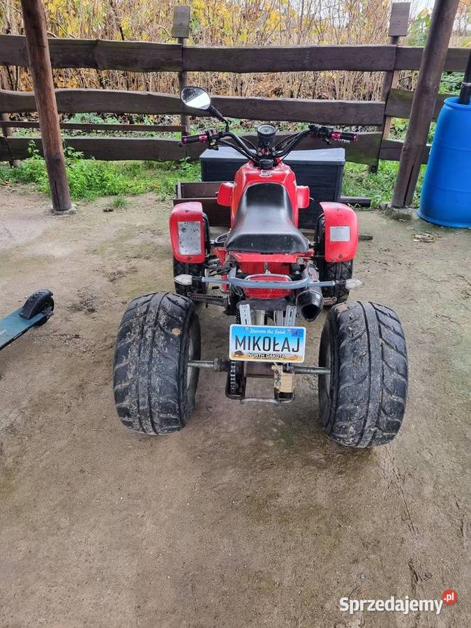 Qad borosa Orzechówko