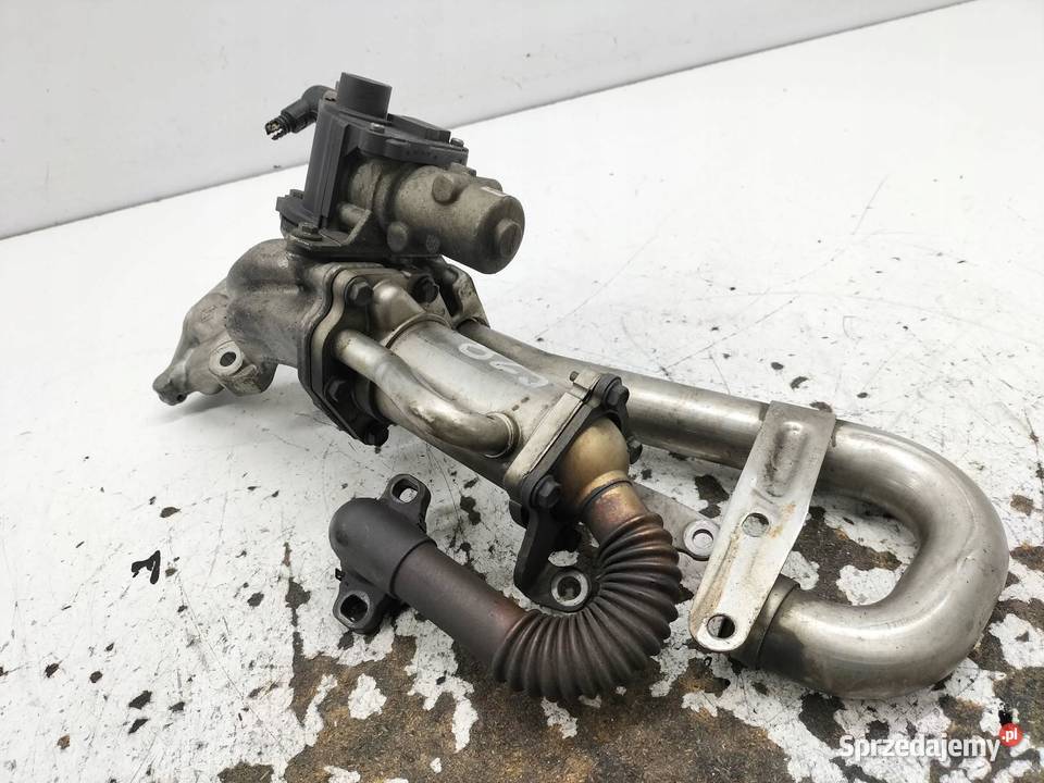 ZAWÓR EGR 8200729079 15 DCI Renault Laguna III osobowe sprzedam