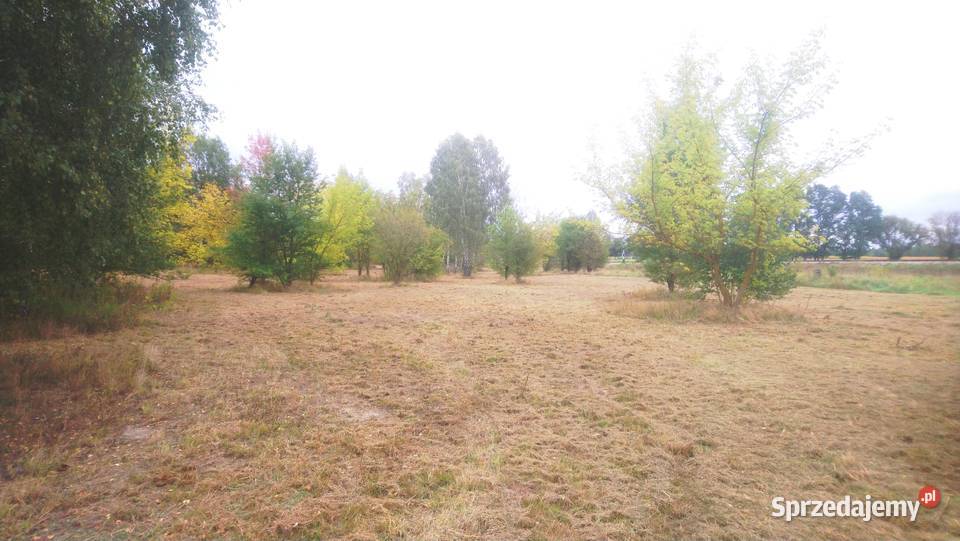 Sprzedam działkę budowlaną o pow 1000m2 z Popielżyn-Zawady sprzedam