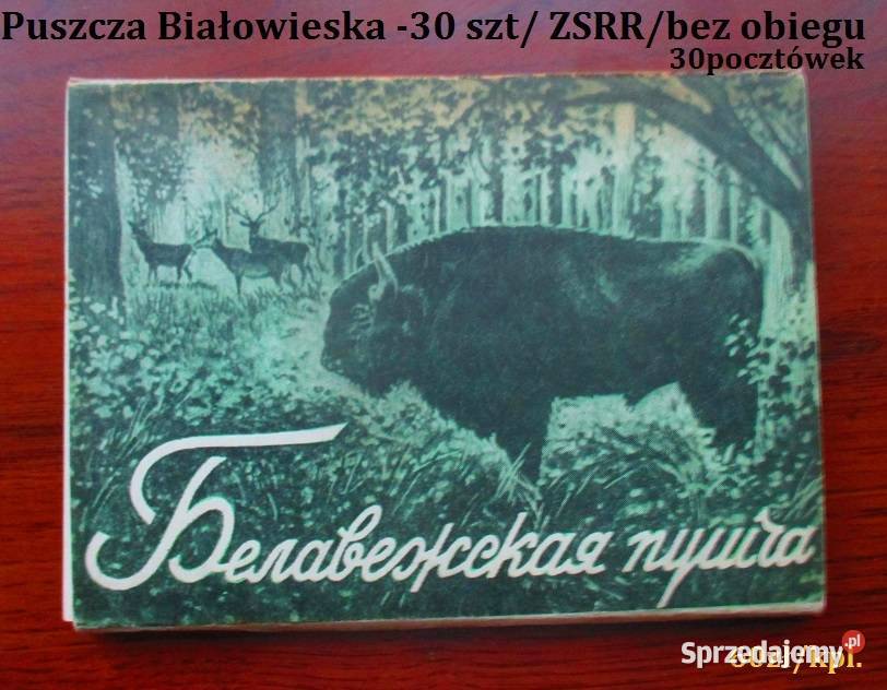 Kartka z kalendarza kalendarz Przyjaciółka łódzkie Łódź