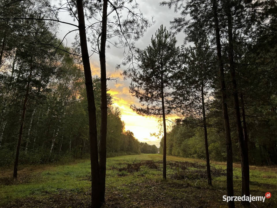 UROKLIWE MIEJSCE NATURY Rydzów