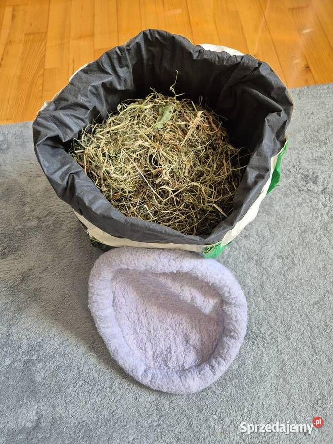 Legowisko królika świnki morskiej Gryzonie Chorzów