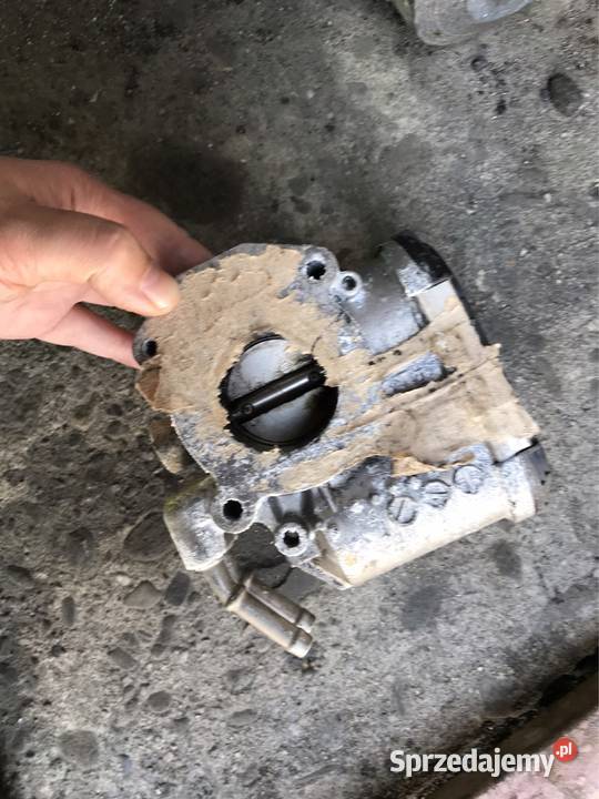 Przepustnica toyota różne modele Kozy