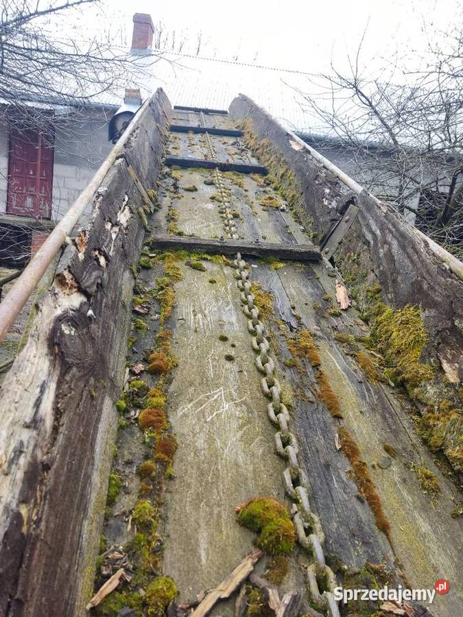 przenośnik podajnik obornika łańcuchowy solidny Chełm sprzedam