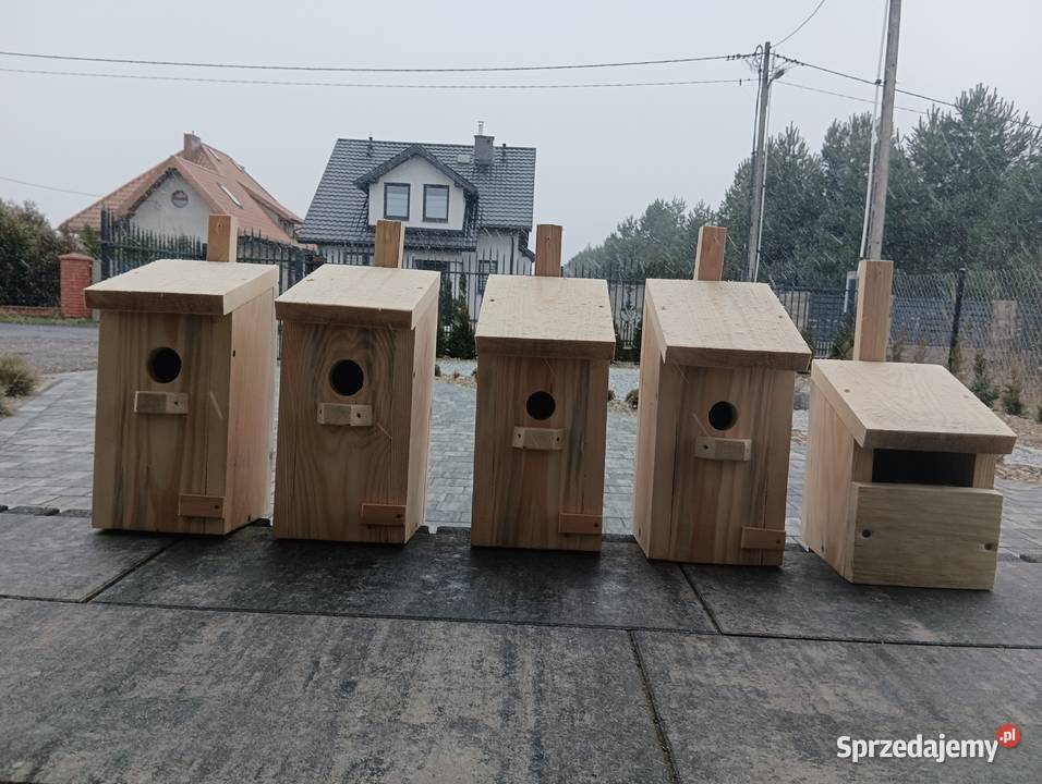 BUDKA LĘGOWA KARMNIK PTAKÓW ZESTAW promocja Sucha
