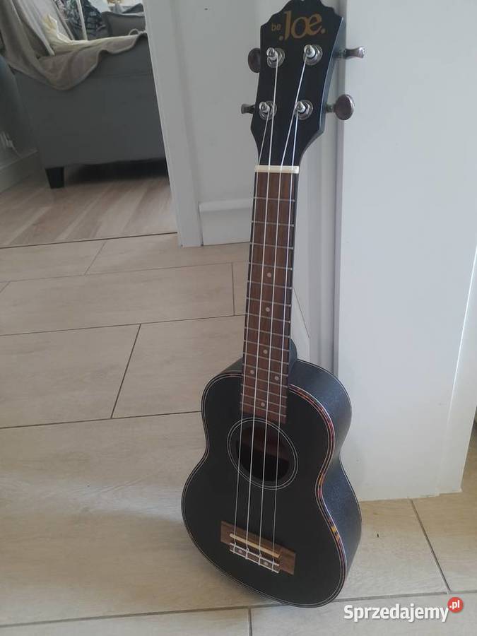 Ukulele z akcesoriami zachodniopomorskie Szczecin