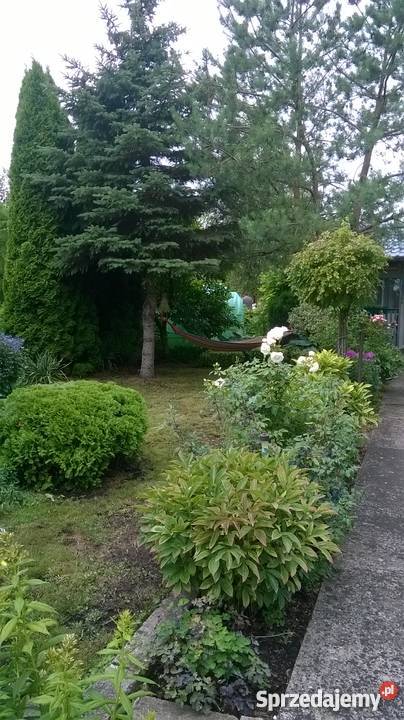 Wyspa Pucka Szczecin zachodniopomorskie sprzedam