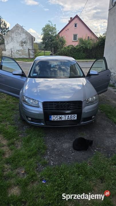 Audi a3 8p 80KM Strzegom