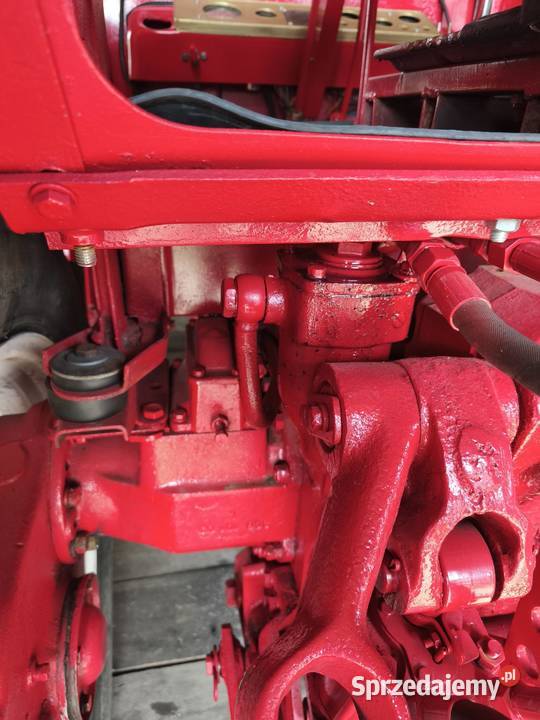 Władimirec t25 Łanięta