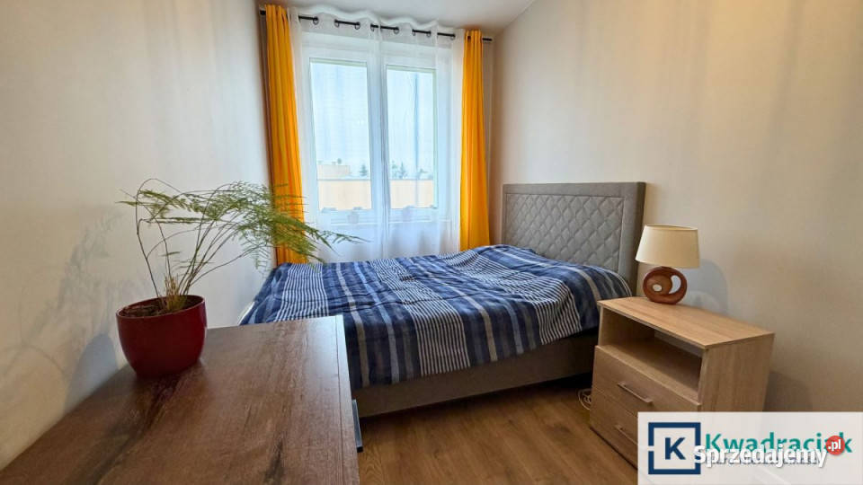 wynajmu mieszkania 3556m2 2 pokoje Krosno własność podkarpackie