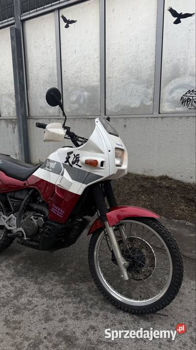 Kawasaki KLR650 Tengai
