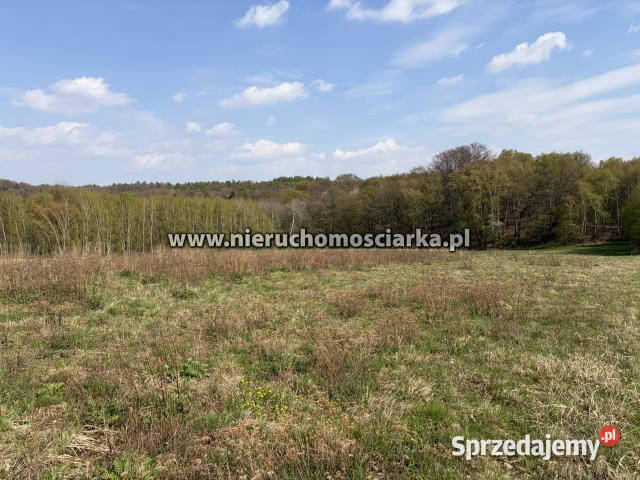 Działka do sprzedania 5100 metrów Lubomia 24m Nieruchomości