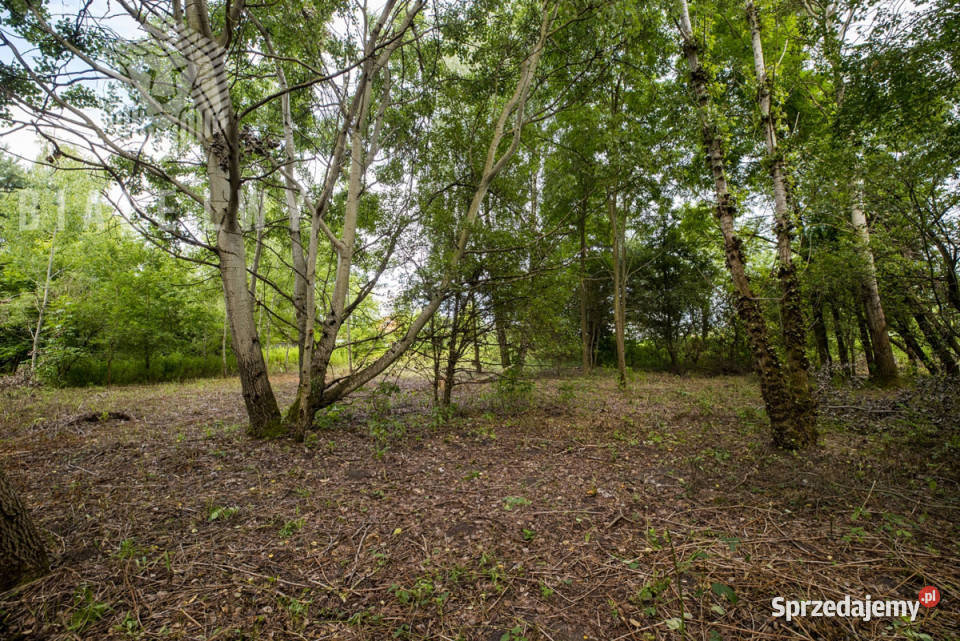 sprzedaży działki Wilcza Góra Polna 1195m2 sprzedam