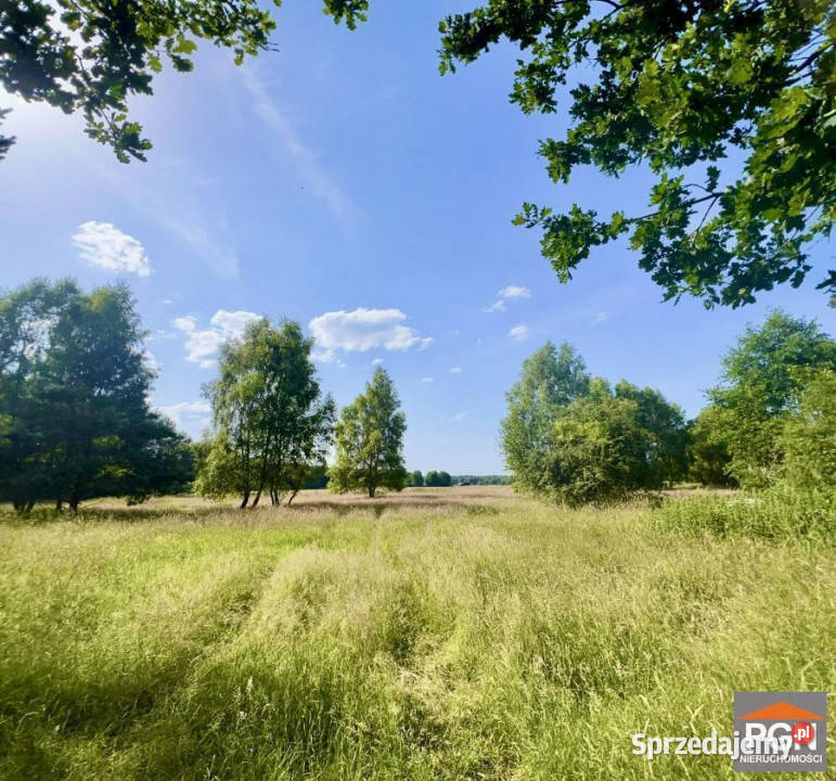Działka 3001m2 Gostyniec