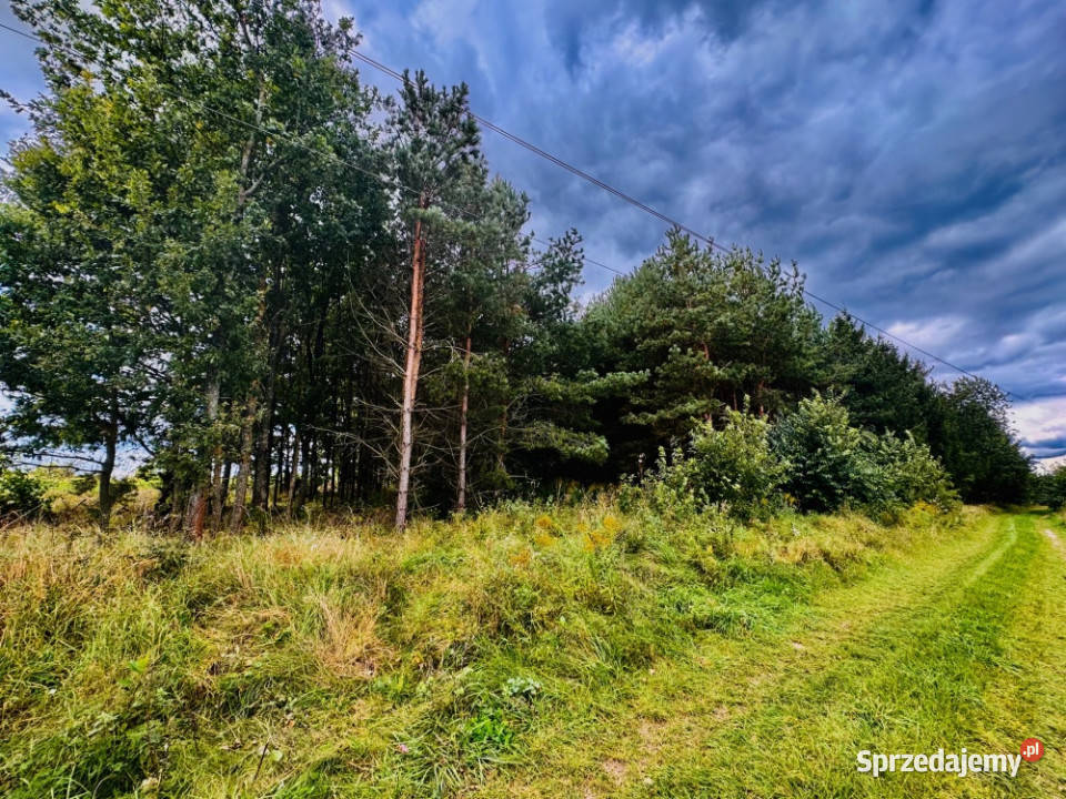 Drygały piękna działka 14 ha w otoczeniu lasów i