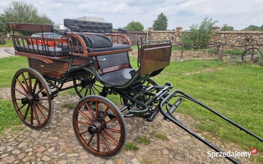 Powóz konny Bryczka Wagonetka na 1 i 2 konie wielkopolskie Dolsk