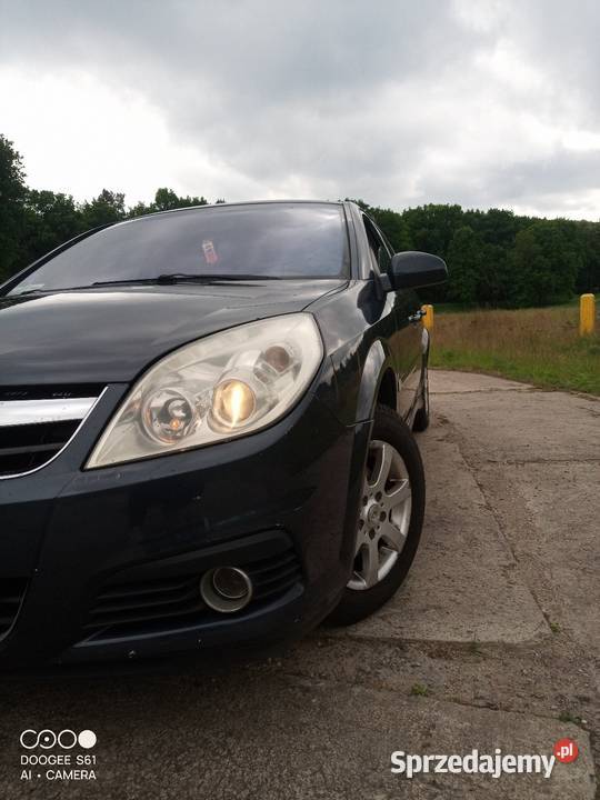 Sprzedam Opel Signum Lpg Przęsocin