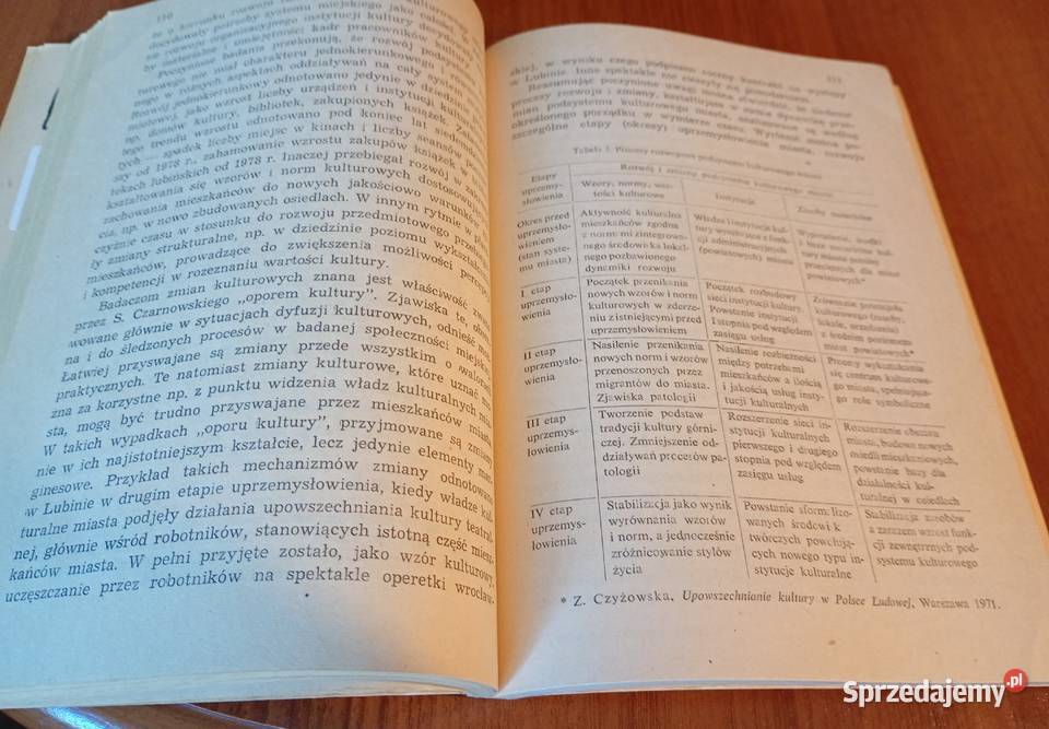 System kulturowy miasta uprzemysłowionego studia Gdańsk