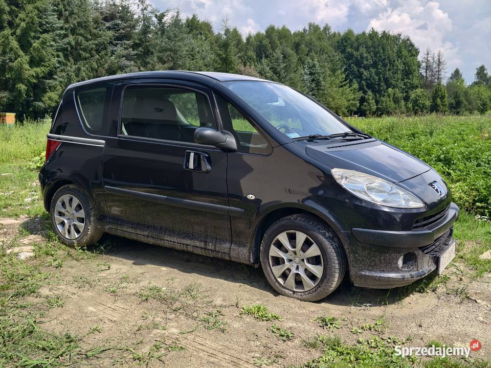 Peugeot 1007 1007 podkarpackie Leżajsk