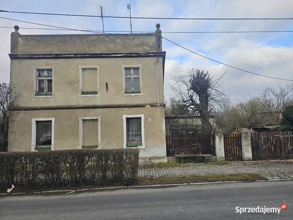 Sprzedam Sprzedaż Brzeg