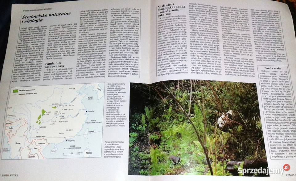 Świat dzikich zwierząt Larousse 4 Panda wielka Rok wydania 1999