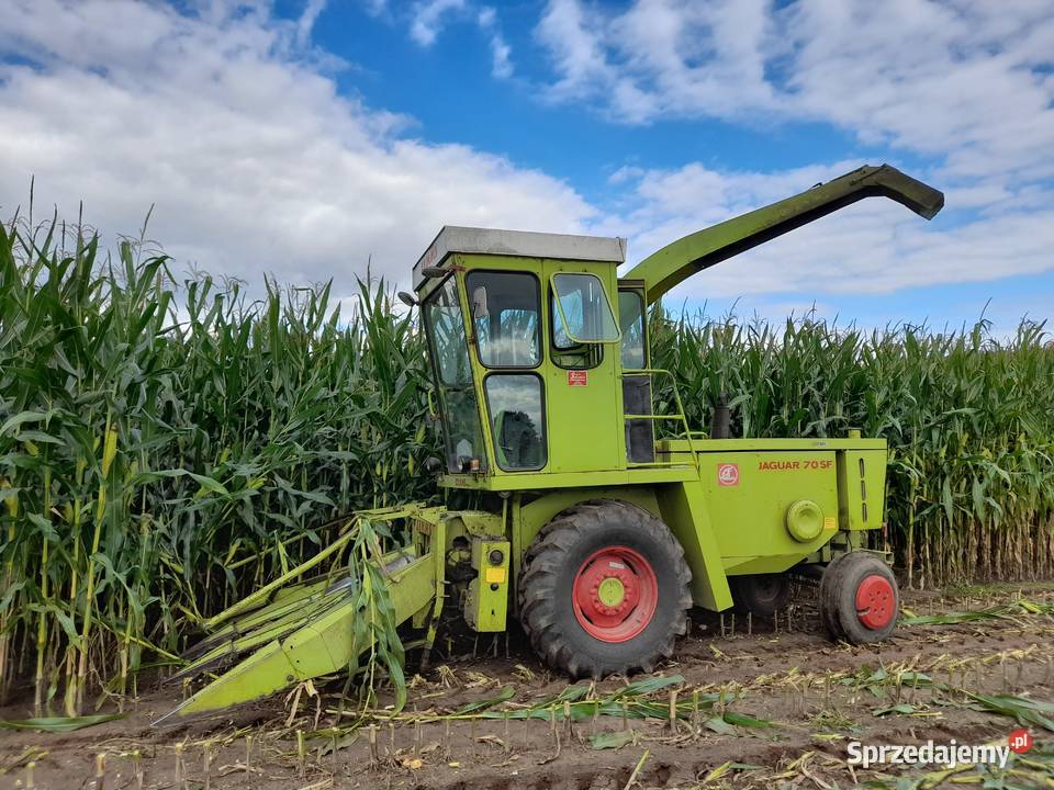 Sieczkarnia Samojezdna Claas Jaguar 70SF 3 rzędy Rzeczyca sprzedam
