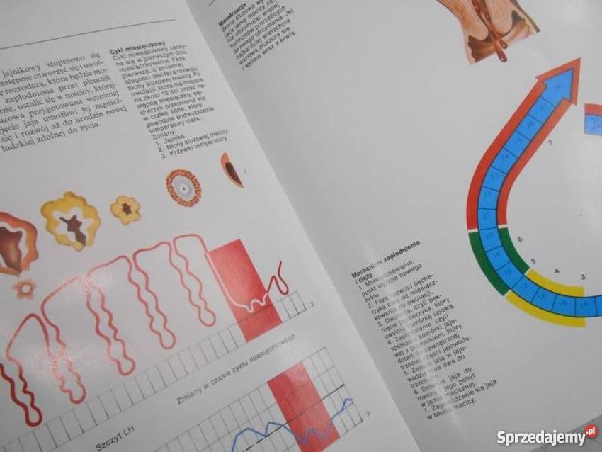 Tytuł ENCYKLOPEDIA WYCHOWANIA SEKSUALNEGO TOM 14 Kultura i Rozrywka podlaskie Białystok