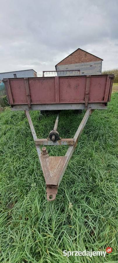 Sprzedam rorzutnik Kłodawa