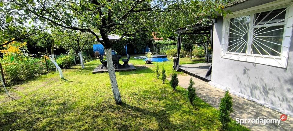 Działka Rekreacyjna Rod Stokrotka prąd Lubin