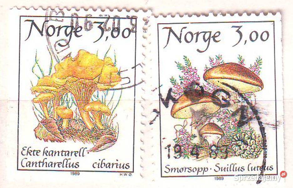 Zn Norwegia Mi 1012 3 kas 1989 Gliwice