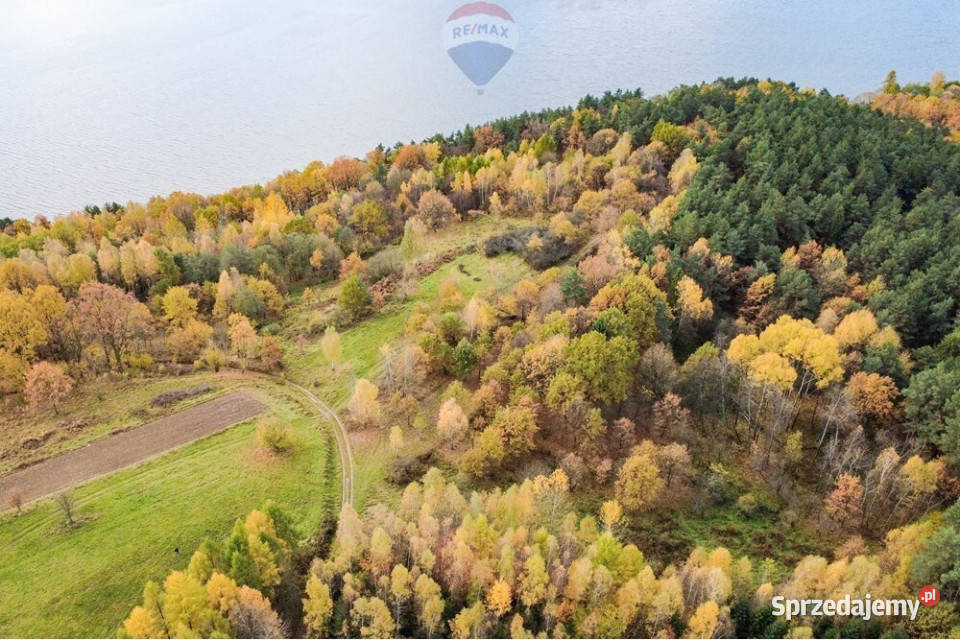 Działka leśna 862 m w Oczkowie Sprzedaż Żywiec