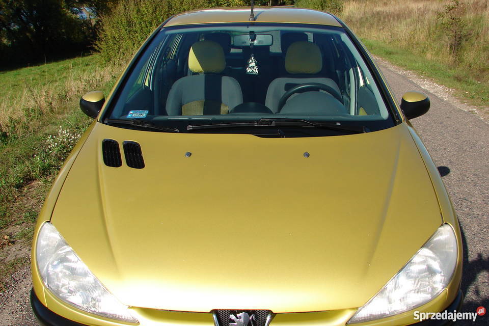 Peugeot 206 14 XLine Salon Polska 107000 wspomaganie kierownicy Steklin