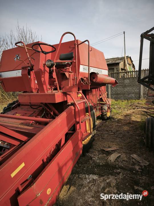 Massey Ferguson 186 Modliborzyce sprzedam