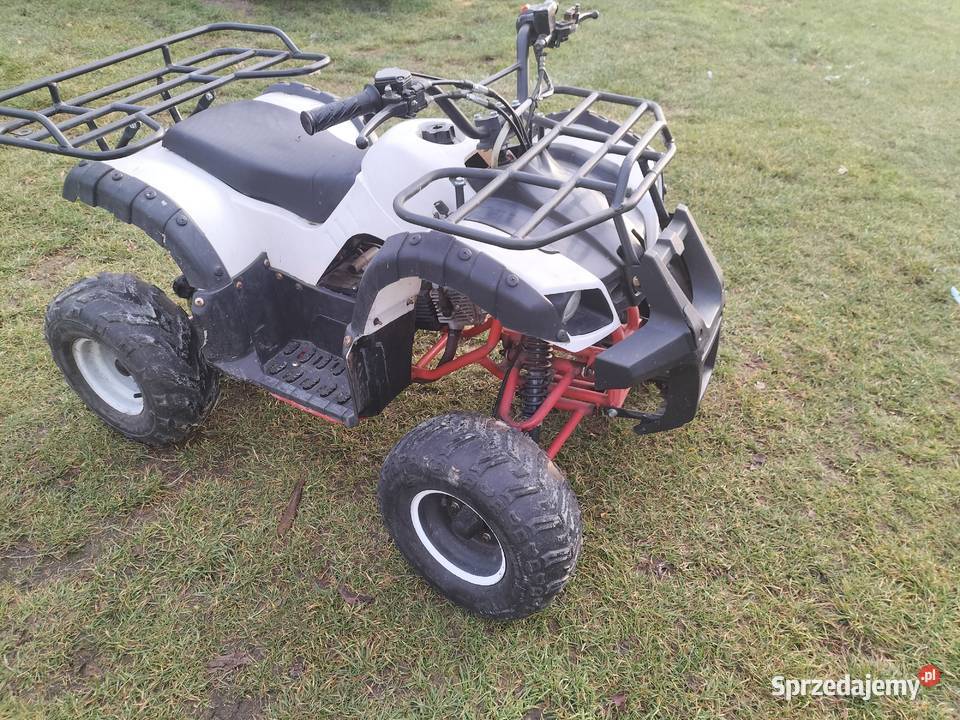 Mam do sprzedania guada Niwiska Górne