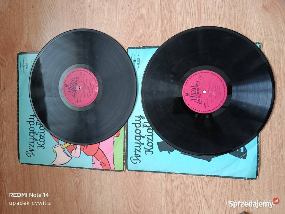 Płyty winylowe koziołek matołek Dom i Ogród Wodzisław Śląski