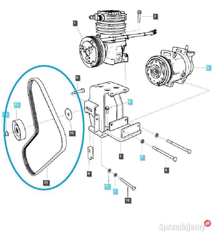 Pasek klinowy 4PK1300 LS Trakctor 40326674 Skrzynia biegów Tajęcina