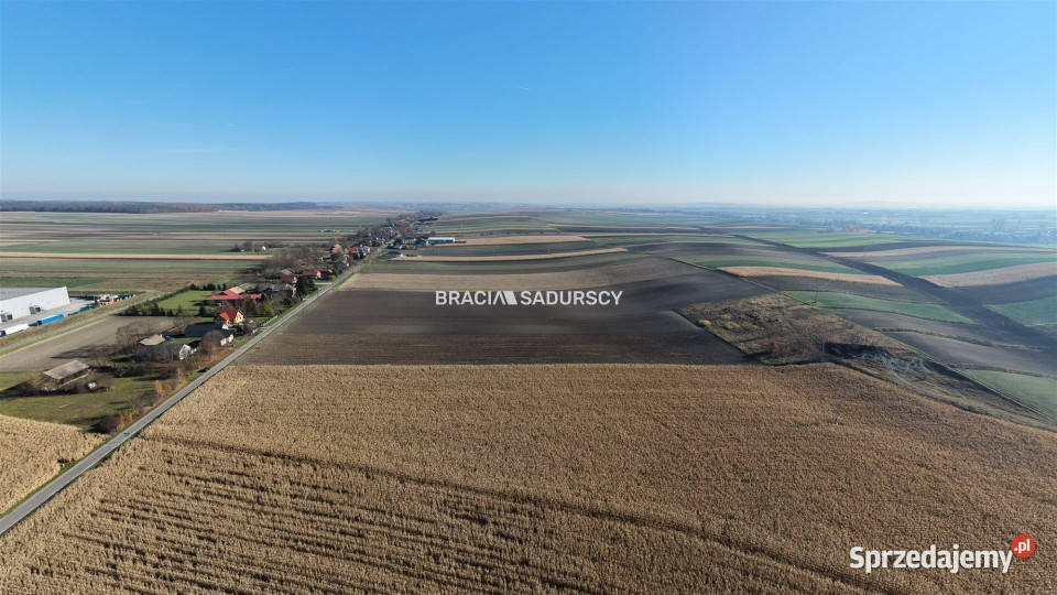 Grunt sprzedam PrandocinIły 4718m2 Sprzedaż Prandocin-Iły sprzedam