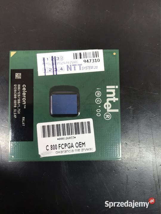 Procesor Intel Celeron 800 Wapienne