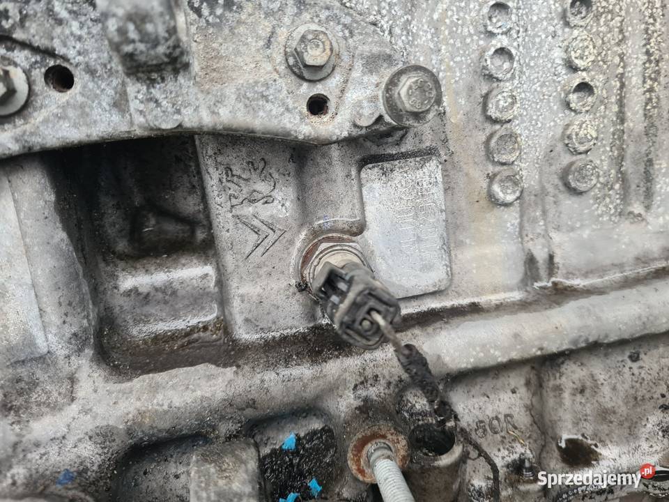 FORD FIESTA MK VII 2008 1 4 TDCI SILNIK Świerzowa Polska