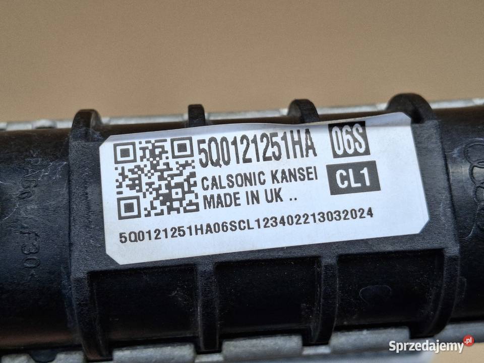AUDI VW SKODA SEAT CHŁODNICA CIECZY WODY Bieleń