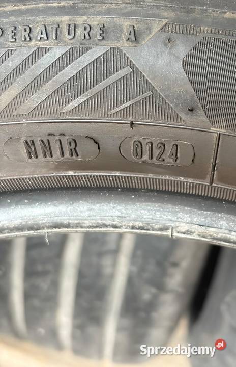 opony Lato Goodyear Efficientgrip Performance2 215 Warszawa